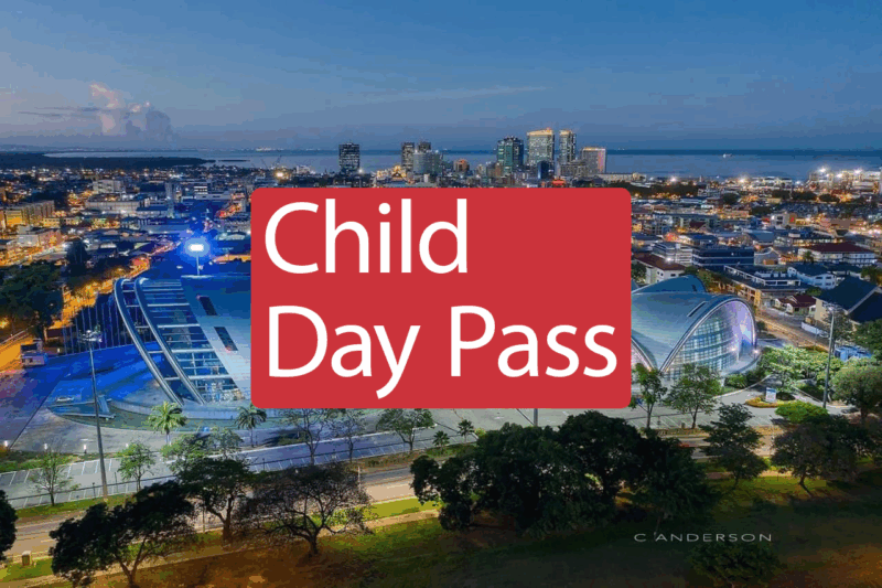 Convention Main Event Day Pass – Child Ticket