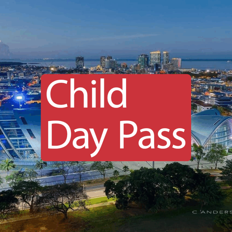 Convention Main Event Day Pass – Child Ticket