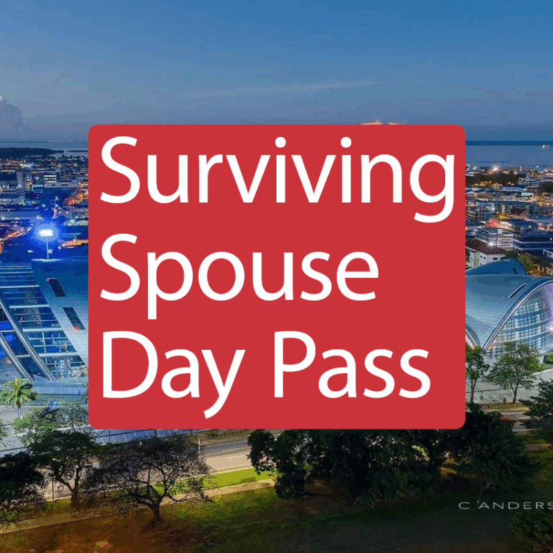Convention Main Event Day Pass – Surviving Spouse Ticket